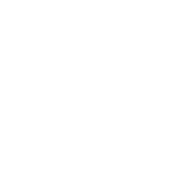 Folder RAW Icon