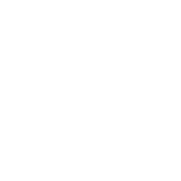 Folder Shipping Box Icon
