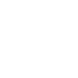 Folder SHP Icon