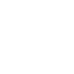 Forest Fire Drone Fixed Wing Icon