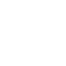 Globe Checkmark Icon
