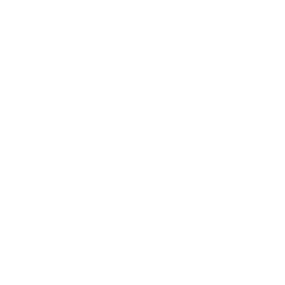 Globe Drone Icon
