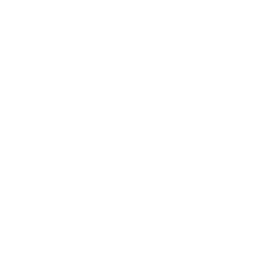 Globe Markers Icon