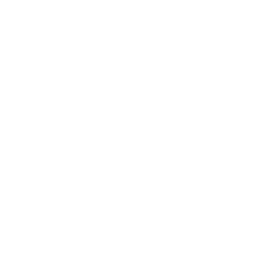 Globe Part 107 Icon