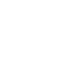 Globe Section 333 Icon