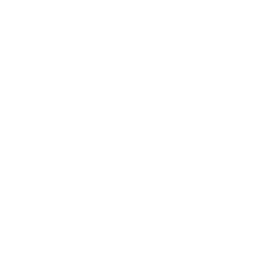 Globe Shield Checkmark Icon