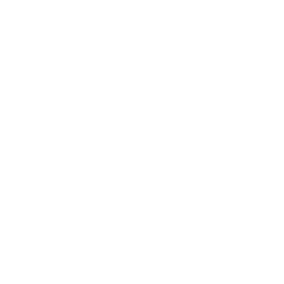 Golf Camera Icon