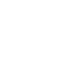 Heart Drone Icon