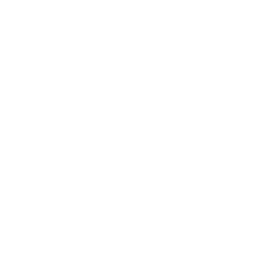 House Annotated Icon