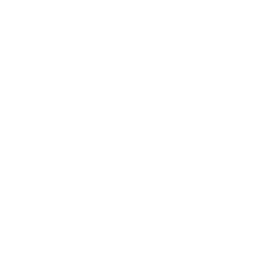House Camera Icon