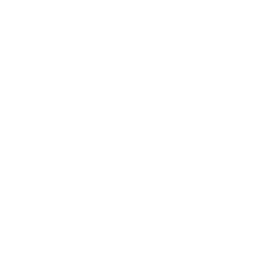 House Checkmark Icon
