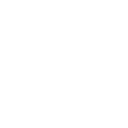 House Drone Deliver Icon