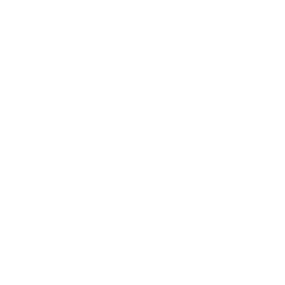 House Drone Icon