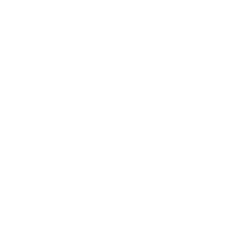 House Mind Icon