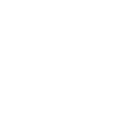 House Money Increase Icon