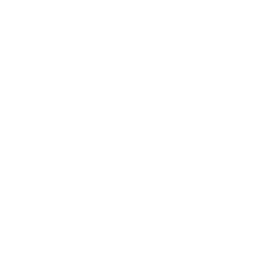 House Money Icon
