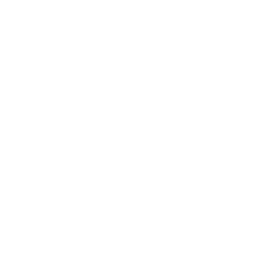House Report Checklist Icon