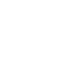 House Roof Annotated Icon