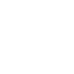 House Roof Checkmark Icon