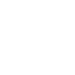 House Roof Drone Fixed Wing Icon