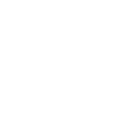 House Roof Health Icon