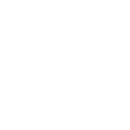 House Roof Lock Icon