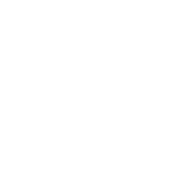 House Roof Money Icon