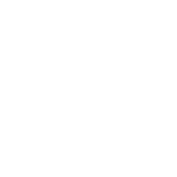 House Roof Report Video Icon