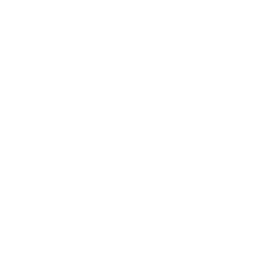 House Roof Search Icon