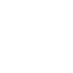 House Roof Settings Icon