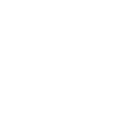 House Roof Shield Icon