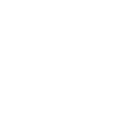 House Roof Video Icon