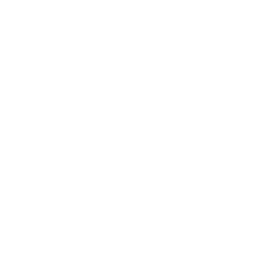 House Shield Icon