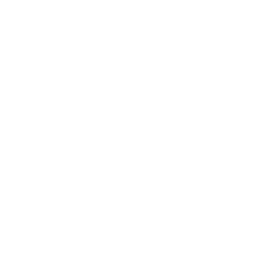 House Video Icon