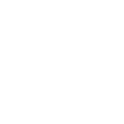 ILS Label Icon