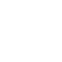 Island Drone Icon