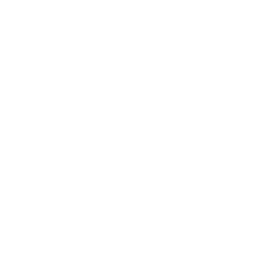 ISO 100 Badge Icon