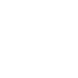 ISO 1600 Badge Icon