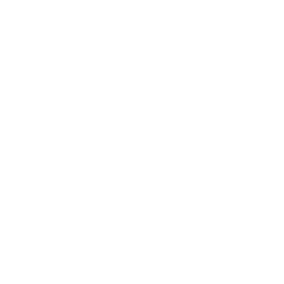 ISO 200 Badge Icon