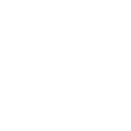 ISO 25600 Badge Icon