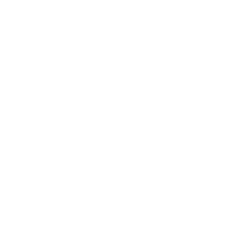 ISO 3200 Badge Icon