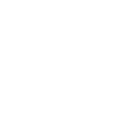 ISO 800 Badge Icon