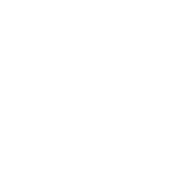 Laptop Drone Icon