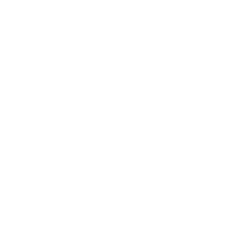 Law Enforcement Drone Icon