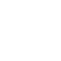 Lock Drone Icon