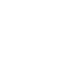 Magnetometer Drone Icon