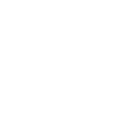 Manual Mode Icon