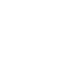 Map Drone Icon