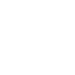 Marker Signal Icon