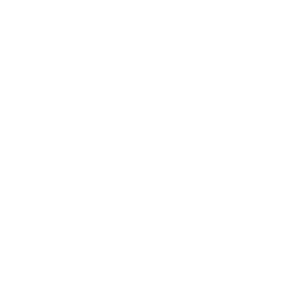Marker Target Icon